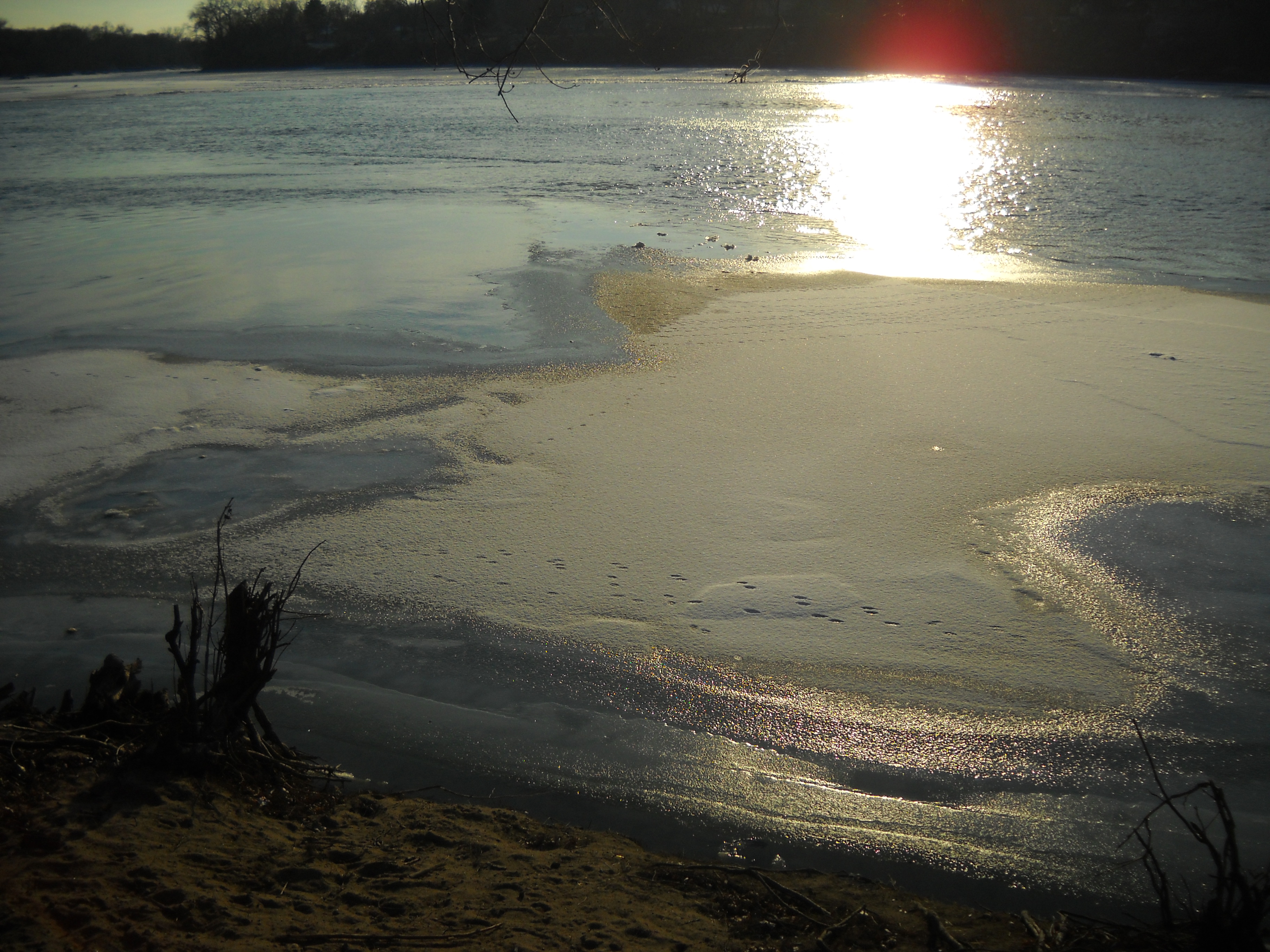 DSCN1297 barbara ice on river